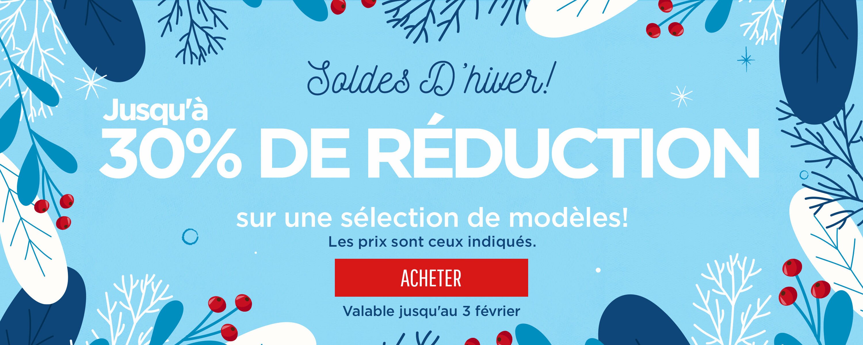 Winter Sale Hero Banner South